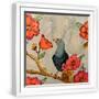 White Frame