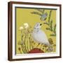 Brown Frame