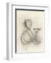 Symbol & in Pen-Morgan Yamada-Framed Art Print