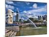 Symbol of Singapore and Downtown Skyline in Fullerton Area, Clarke Quay, Merlion-Bill Bachmann-Mounted Photographic Print