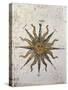 Symbol of the Sun with Inlaid Rose Compass, from the Nautical Maps Atlas-null-Stretched Canvas