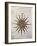 Symbol of the Sun with Inlaid Rose Compass, from the Nautical Maps Atlas-null-Framed Giclee Print