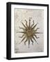 Symbol of the Sun with Inlaid Rose Compass, from the Nautical Maps Atlas-null-Framed Giclee Print