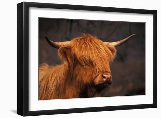 Symbolic of Scotland-Susann Parker-Framed Premium Photographic Print