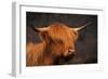 Symbolic of Scotland-Susann Parker-Framed Premium Photographic Print