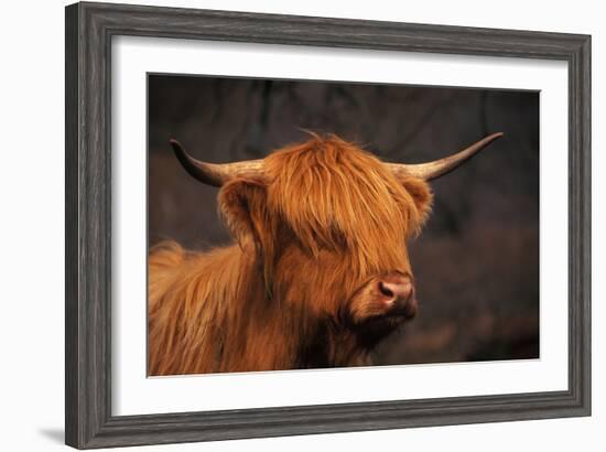 Symbolic of Scotland-Susann Parker-Framed Photographic Print