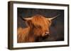 Symbolic of Scotland-Susann Parker-Framed Photographic Print