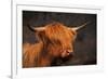 Symbolic of Scotland-Susann Parker-Framed Photographic Print