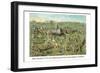 Symbols -Solomon's Temple-Charles O'Donnell-Framed Art Print