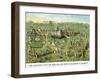 Symbols -Solomon's Temple-Charles O'Donnell-Framed Art Print