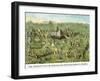 Symbols -Solomon's Temple-Charles O'Donnell-Framed Art Print