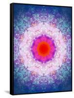 Symmetric Energetic Floral Montage of Flowers-Alaya Gadeh-Framed Stretched Canvas