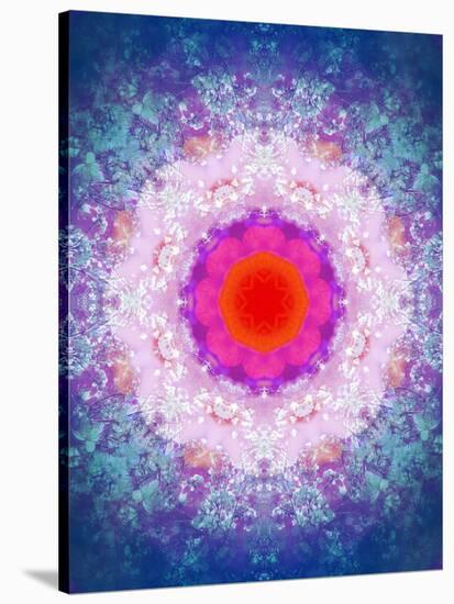 Symmetric Energetic Floral Montage of Flowers-Alaya Gadeh-Stretched Canvas