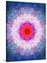 Symmetric Energetic Floral Montage of Flowers-Alaya Gadeh-Stretched Canvas