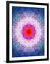 Symmetric Energetic Floral Montage of Flowers-Alaya Gadeh-Framed Premium Photographic Print