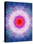 Symmetric Energetic Floral Montage of Flowers-Alaya Gadeh-Stretched Canvas