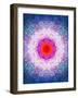 Symmetric Energetic Floral Montage of Flowers-Alaya Gadeh-Framed Photographic Print