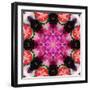 Symmetric Energetic Floral Montage of Flowers-Alaya Gadeh-Framed Photographic Print