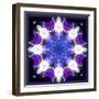 Symmetric Energetic Floral Montage of Flowers-Alaya Gadeh-Framed Photographic Print