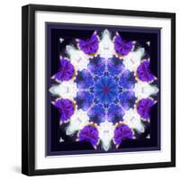 Symmetric Energetic Floral Montage of Flowers-Alaya Gadeh-Framed Photographic Print