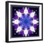 Symmetric Energetic Floral Montage of Flowers-Alaya Gadeh-Framed Photographic Print