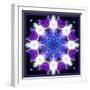 Symmetric Energetic Floral Montage of Flowers-Alaya Gadeh-Framed Photographic Print