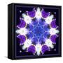 Symmetric Energetic Floral Montage of Flowers-Alaya Gadeh-Framed Stretched Canvas