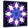 Symmetric Energetic Floral Montage of Flowers-Alaya Gadeh-Stretched Canvas