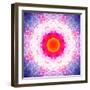 Symmetric Energetic Floral Montage of Flowers-Alaya Gadeh-Framed Photographic Print