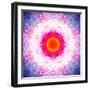 Symmetric Energetic Floral Montage of Flowers-Alaya Gadeh-Framed Photographic Print