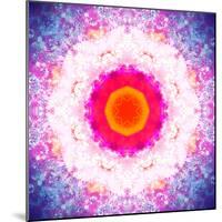 Symmetric Energetic Floral Montage of Flowers-Alaya Gadeh-Mounted Photographic Print