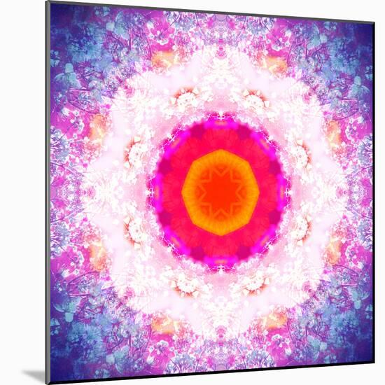 Symmetric Energetic Floral Montage of Flowers-Alaya Gadeh-Mounted Photographic Print