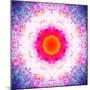 Symmetric Energetic Floral Montage of Flowers-Alaya Gadeh-Mounted Photographic Print