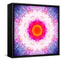 Symmetric Energetic Floral Montage of Flowers-Alaya Gadeh-Framed Stretched Canvas