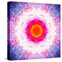 Symmetric Energetic Floral Montage of Flowers-Alaya Gadeh-Stretched Canvas