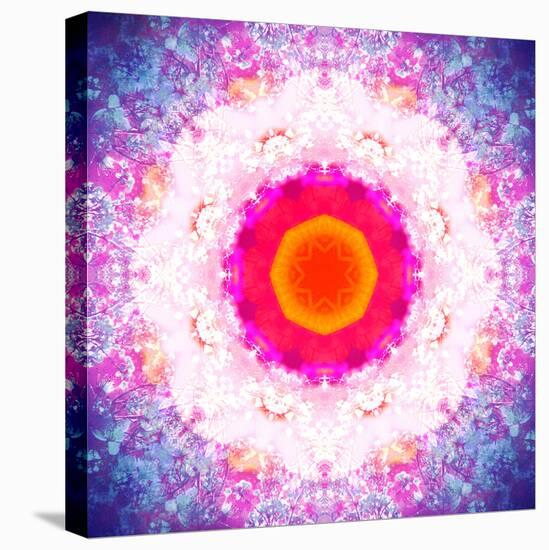 Symmetric Energetic Floral Montage of Flowers-Alaya Gadeh-Stretched Canvas