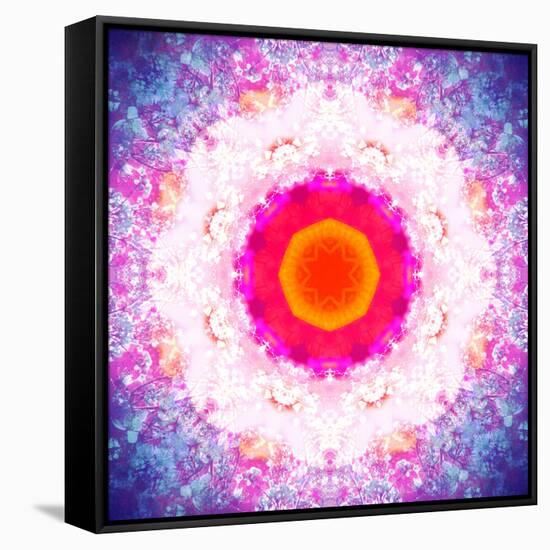 Symmetric Energetic Floral Montage of Flowers-Alaya Gadeh-Framed Stretched Canvas