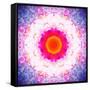 Symmetric Energetic Floral Montage of Flowers-Alaya Gadeh-Framed Stretched Canvas