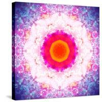 Symmetric Energetic Floral Montage of Flowers-Alaya Gadeh-Stretched Canvas