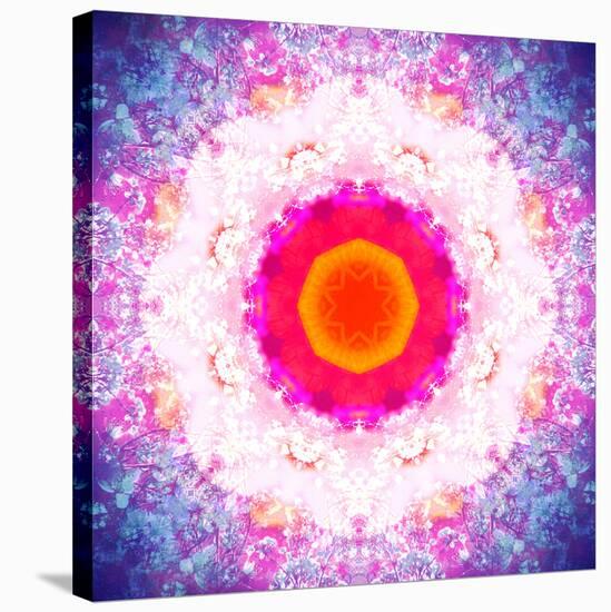 Symmetric Energetic Floral Montage of Flowers-Alaya Gadeh-Stretched Canvas