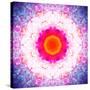 Symmetric Energetic Floral Montage of Flowers-Alaya Gadeh-Stretched Canvas