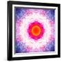 Symmetric Energetic Floral Montage of Flowers-Alaya Gadeh-Framed Photographic Print