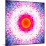 Symmetric Energetic Floral Montage of Flowers-Alaya Gadeh-Mounted Photographic Print