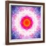 Symmetric Energetic Floral Montage of Flowers-Alaya Gadeh-Framed Photographic Print