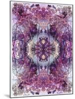 Symmetric Floral Montage from Flowers-Alaya Gadeh-Mounted Photographic Print