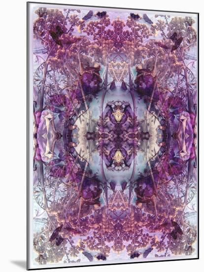 Symmetric Floral Montage from Flowers-Alaya Gadeh-Mounted Photographic Print