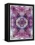 Symmetric Floral Montage from Flowers-Alaya Gadeh-Framed Stretched Canvas