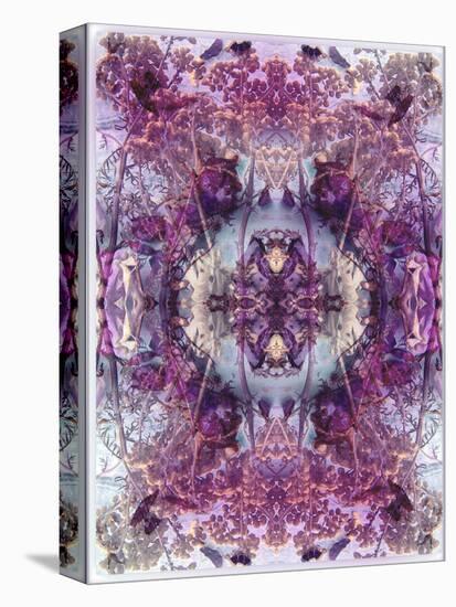 Symmetric Floral Montage from Flowers-Alaya Gadeh-Stretched Canvas