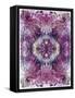 Symmetric Floral Montage from Flowers-Alaya Gadeh-Framed Stretched Canvas