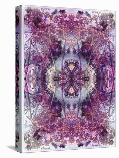 Symmetric Floral Montage from Flowers-Alaya Gadeh-Stretched Canvas